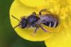 358055 – Photo : Mathurin CARNET – France (58)